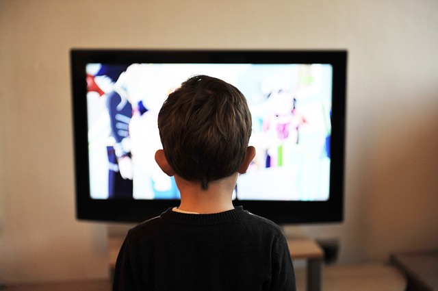 無駄なテレビ